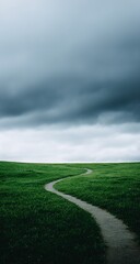 Winding Path Through Lush Green Meadow Under Cloudy Sky