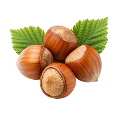 Fresh hazelnuts with shells and green leaves on a transparent background  