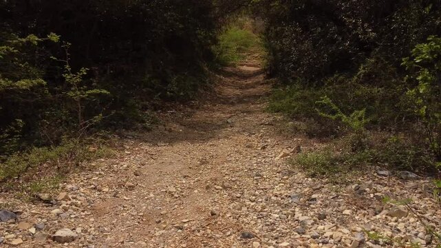 Drone shot an abandoned road, with vegetation around it, on a mountain with nearby beaches. forward and backward movements. recorded at 60 FPS