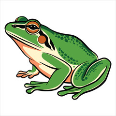 Common water frog on white background, vector. Ideal for amphibian studies, pond life, and nature themes.