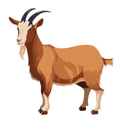 Brown Goat with Large Curled Horns