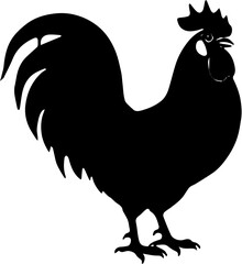 rooster isolated on white background