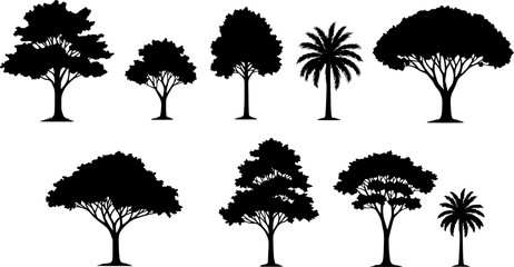 Fototapeta premium silhouette tree line drawing set, Side view, set of graphics trees elements outline symbol for architecture and landscape design drawing. Vector illustration in stroke fill in white. Tropical 