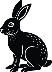 black and white rabbit