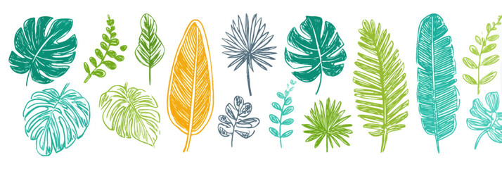 Hand-Drawn Tropical Leaves Collection  Vibrant Crayon Illustrations of Palm, Monstera, and Fern Leaves