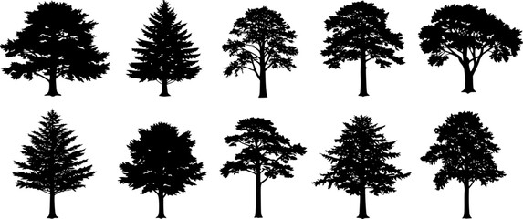 Fototapeta premium Tree Variety Collection in Simple Black Silhouette Vector Style, Isolated on White Background — Perfect for Nature, Landscape, and Outdoor-Themed Design Projects