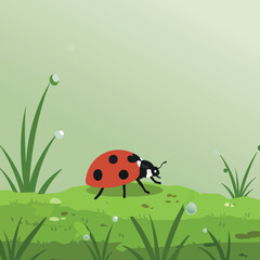 Ladybug on green grass with dewdrops in natural environment vector illustration 