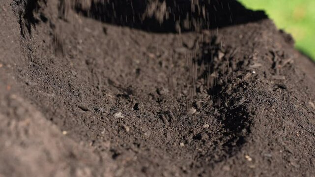 turning a compost pile in a community garden. compost full of microorganisms. sustainable regenerative agriculture with a soil sample