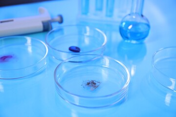 Petri dishes with samples on light blue background, closeup