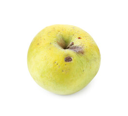 One damaged green apple isolated on white