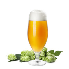 Fresh beer in glass and hop flowers on white background