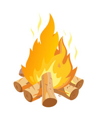 fire in a wood