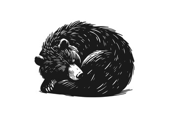 Black Bear hand drawn simple sketch vector illustration