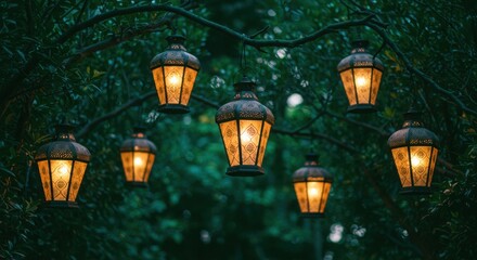 Lanterns hanging from branches in a garden at night