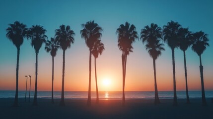 Obraz premium Silhouetted palm trees against a vibrant sunset sky in tropical beach