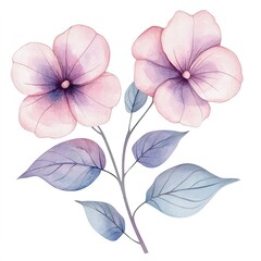 Watercolor Pink And Purple Flowers