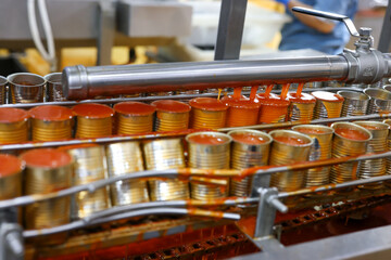 Food production Canned fish factory. Food industry. Canned Fish manufacturing. Sardines in tomato...
