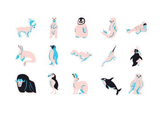 Blue And White Arctic Animals Polar Creatures Illustrations Set