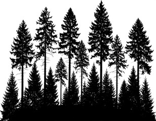 Obraz premium Silhouette of a dark forest