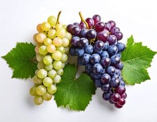 Fototapeta premium Fresh grapes with leaves