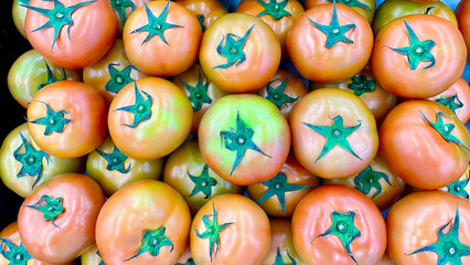 Freshly Harvested Heirloom Tomatoes