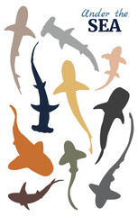 Colorful silhouette collection of different shark isolated on a white background