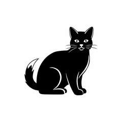 black cat on white background