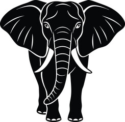 elephant isolated on white