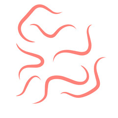 intestinal parasitic worms