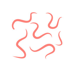 Fototapeta premium intestinal parasitic worms