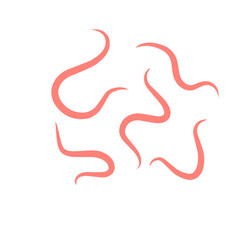 Fototapeta premium intestinal parasitic worms