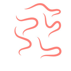 Fototapeta premium intestinal parasitic worms