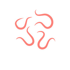 Fototapeta premium intestinal parasitic worms