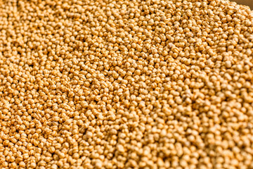 Close-Up of Crispy Roasted Chickpeas – Healthy Snack Idea-Toasted Chickpeas – High-Protein Vegan Snack in Close-Up View