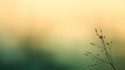Obraz premium A single delicate stem with small, brown seed pods stands out against a blurred background of soft, warm green and golden hues, suggesting a peaceful and serene natural setting
