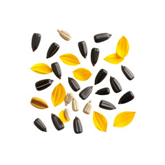 Scattered sunflower seeds and petals on oil food life on transparent background
