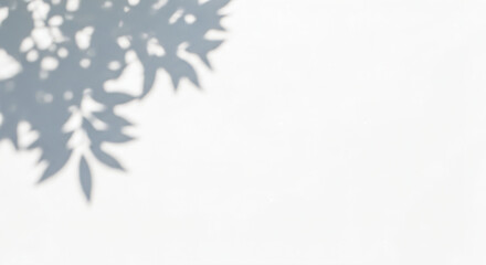 Shadow of leafy branches projected onto a white surface. The shadow is on the left side of the image, featuring intricate patterns of leaves, while the right side remains mostly empty and plain.