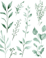 Highly detailed illustrations of various trees, leaves, grasses, and botanical elements, featuring realistic, minimalist, and abstract compositions on a white background.