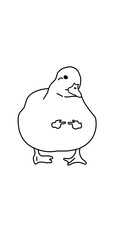 shy duck illustration line art hand drawn meme