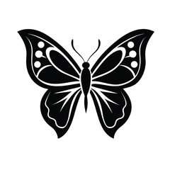 butterfly vector illustration