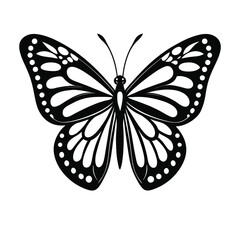 butterfly vector illustration