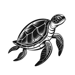 Fototapeta premium turtle vector illustration