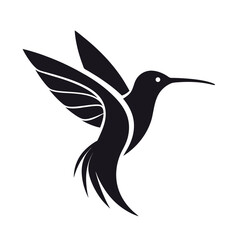 hummingbird vector illustration