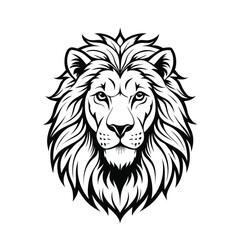 Obraz premium lion head vector