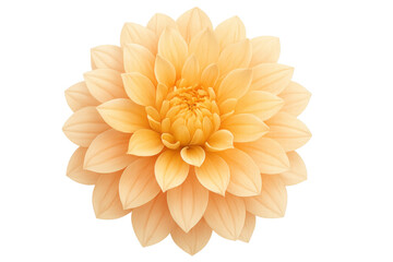 Soft-pink peach dahlia blossom, transparency-isolated, revealing delicate petals and elegant floral structure with vibrant botanical precision
