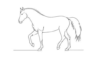 Obraz premium Calm walking horse in minimal black line style