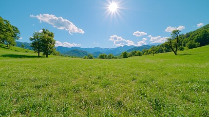 Obraz premium Sunny Day in Mountain Meadow Lush Green Grass Trees and Majestic Mountain Range View