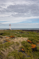 View of Lighthouse on Griffith island