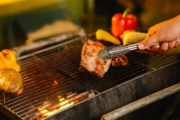 A cheerful summer barbecue gathering with friends and family grilling meat outdoors, enjoying food, laughter, and togetherness in a sunny garden.