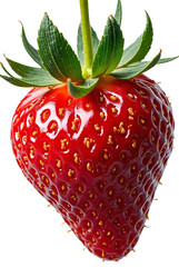 Strawberry isolated